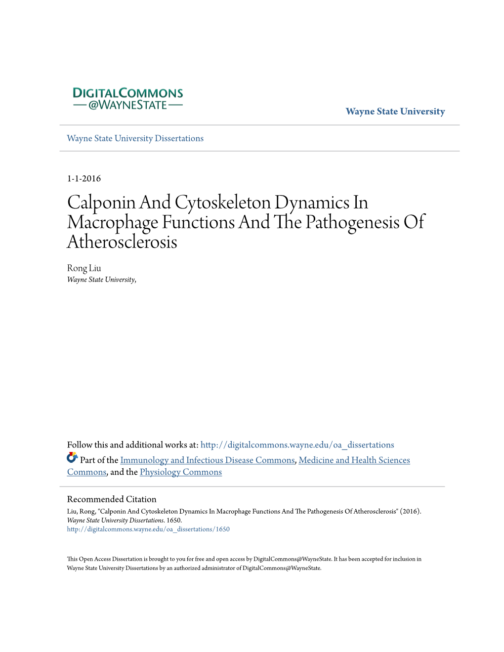 Calponin and Cytoskeleton Dynamics in Macrophage Functions and the Ap Thogenesis of Atherosclerosis Rong Liu Wayne State University