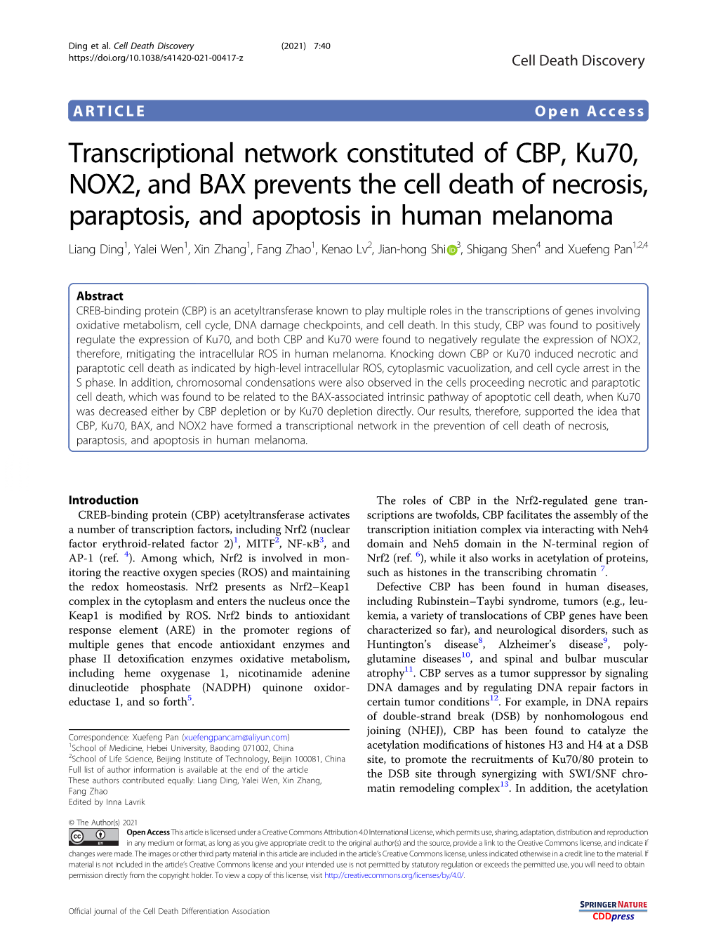 Transcriptional Network Constituted of CBP, Ku70, NOX2, and BAX