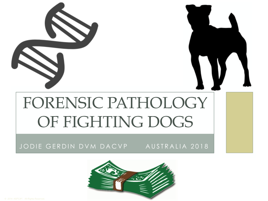 Forensic Pathology of Fighting Dogs