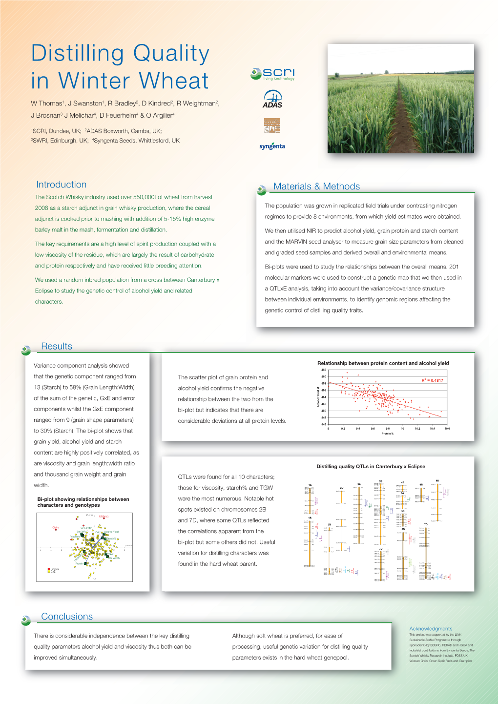 Distilling Quality in Winter Wheat