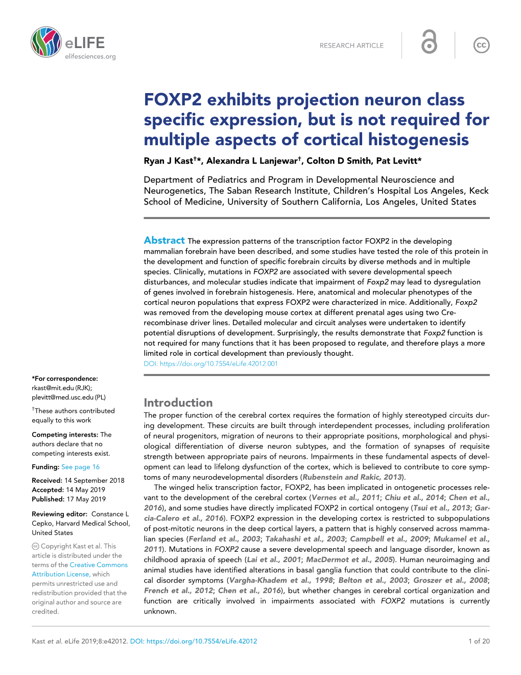 FOXP2 Exhibits Projection Neuron Class Specific Expression, but Is Not