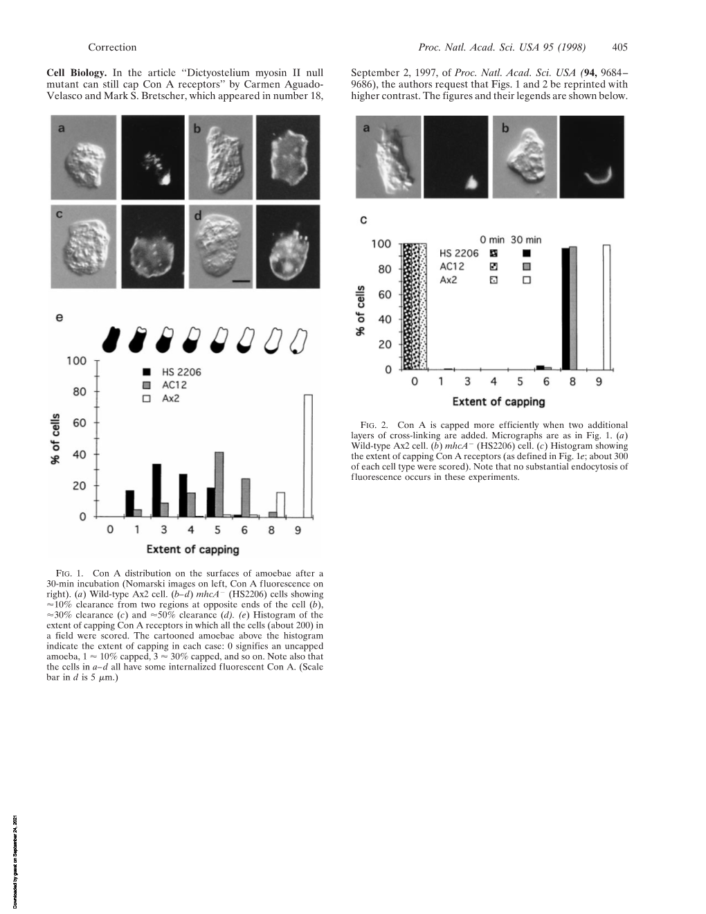 Cell Biology. in the Article ‘‘Dictyostelium Myosin II Null September 2, 1997, of Proc