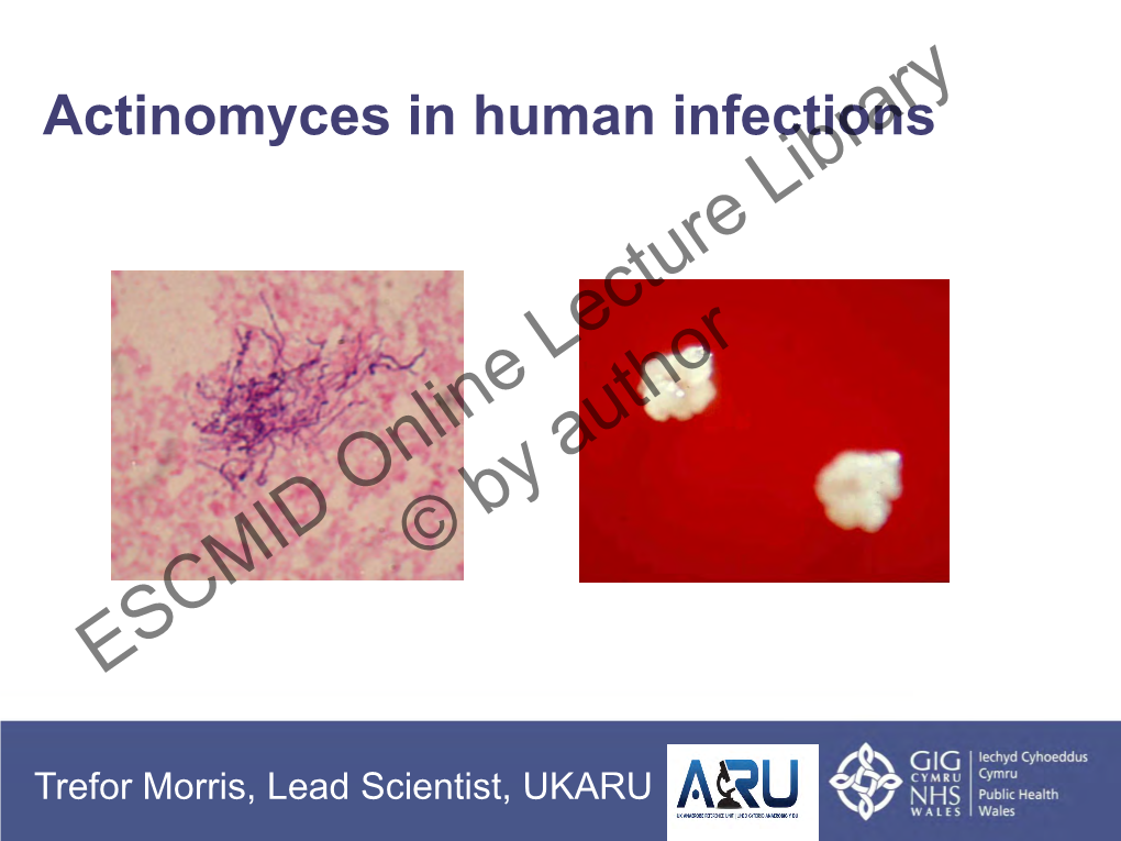 Actinomyces in Human Infections