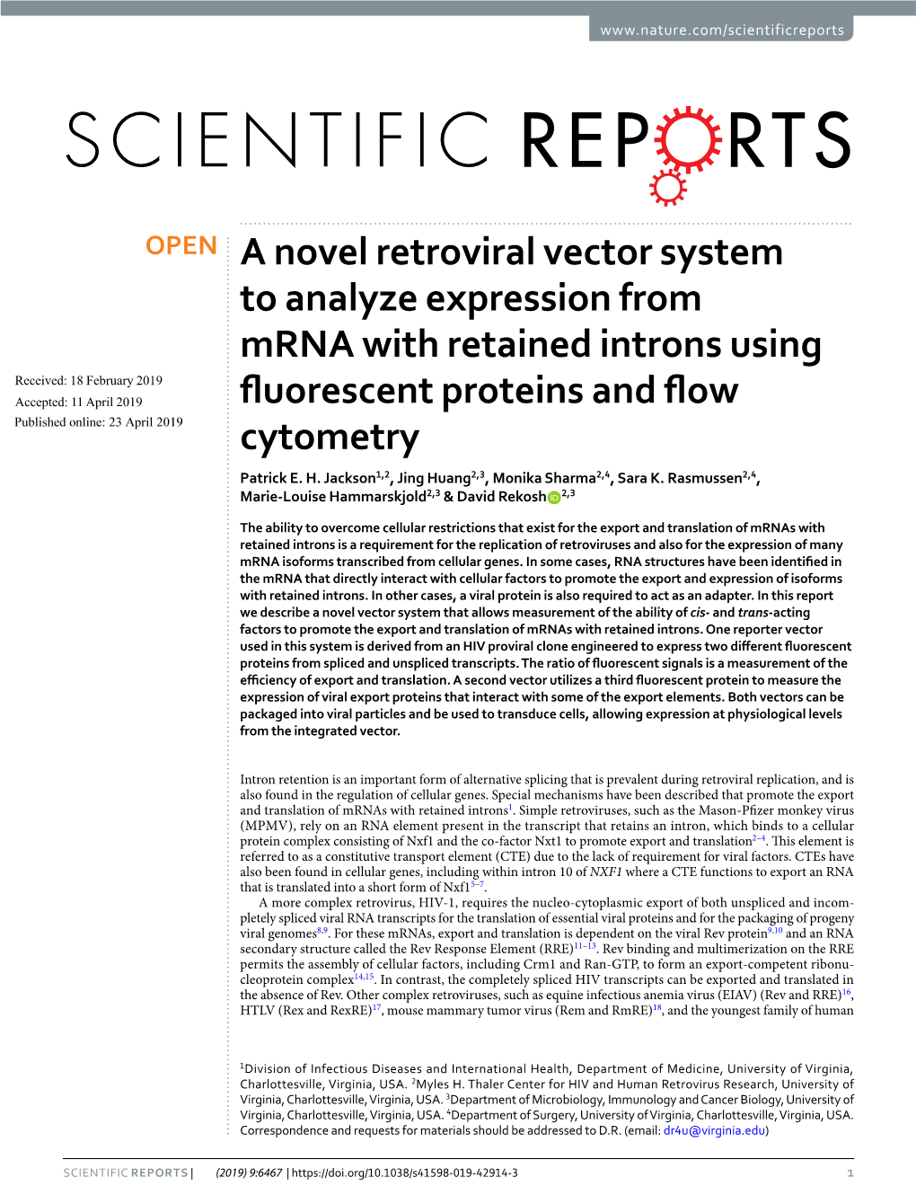 A Novel Retroviral Vector System to Analyze Expression from Mrna with Retained Introns Using Fluorescent Proteins and Flow Cytom