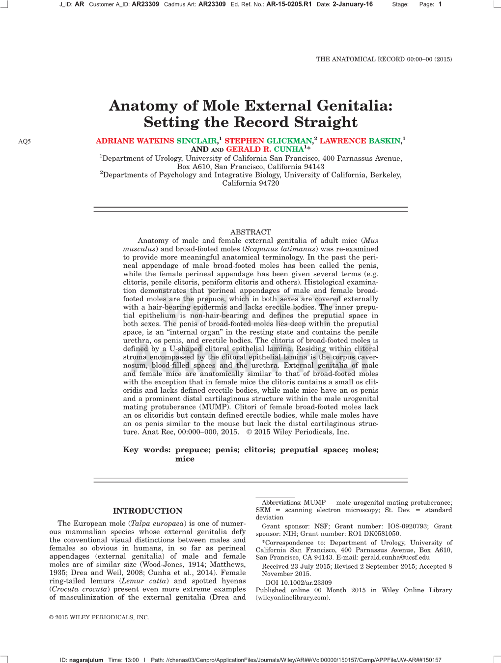 Anatomy of Mole External Genitalia: Setting the Record Straight