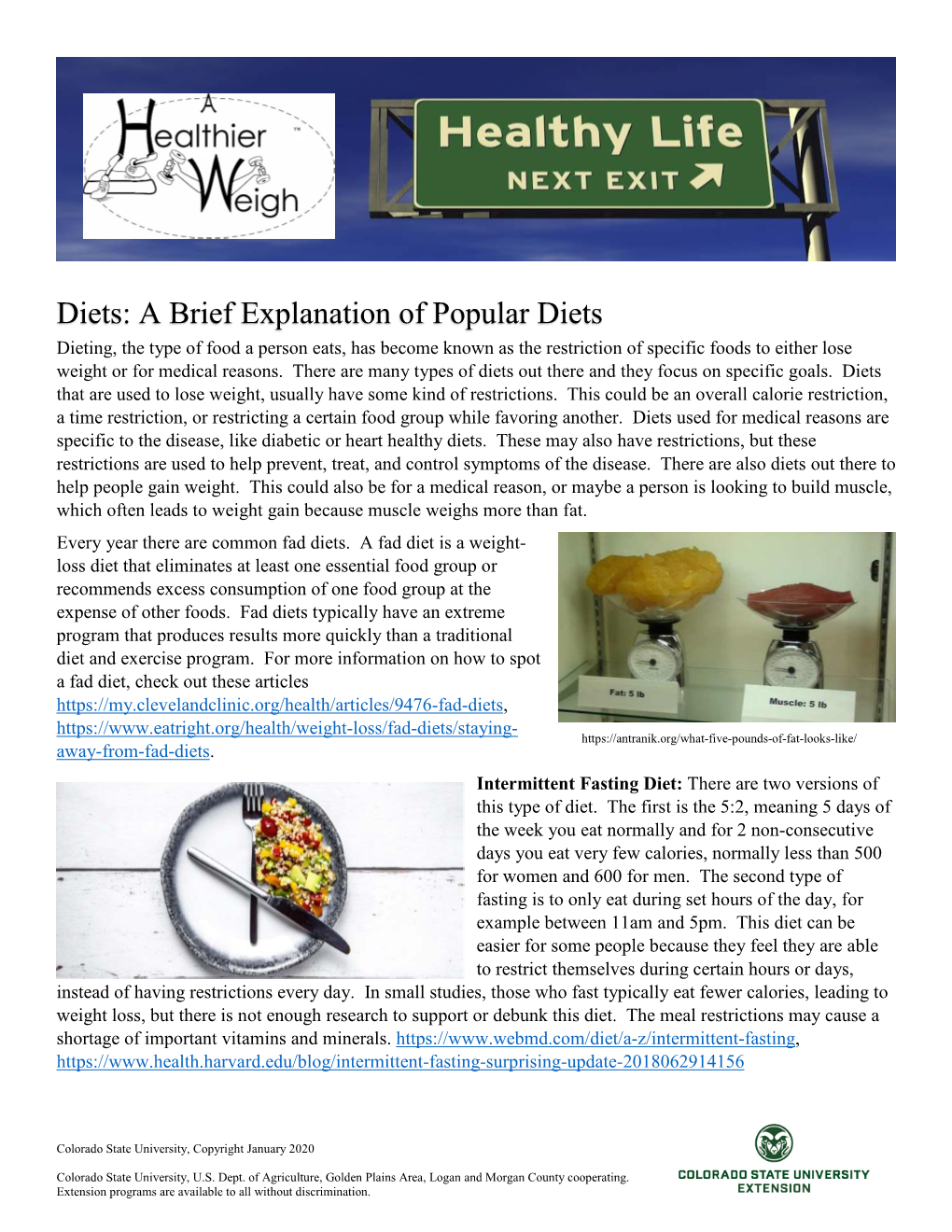 A Brief Explanation of Popular Diets