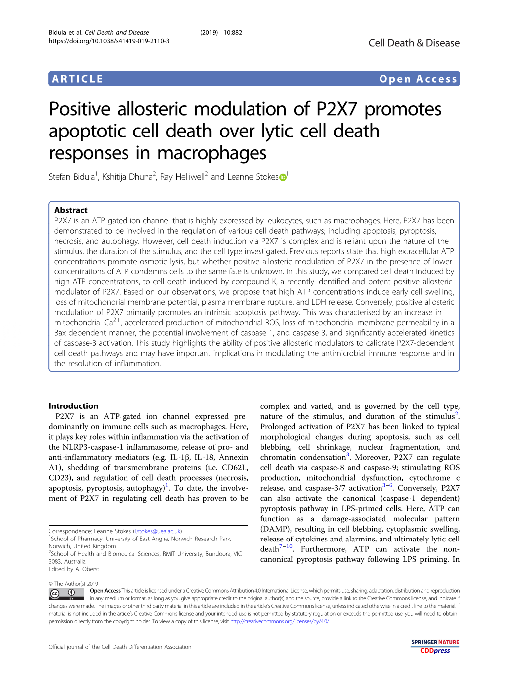 Positive Allosteric Modulation of P2X7 Promotes Apoptotic Cell Death Over