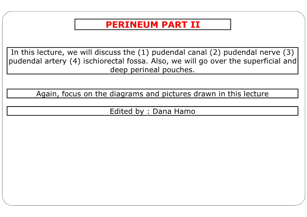 Perineum Part Ii