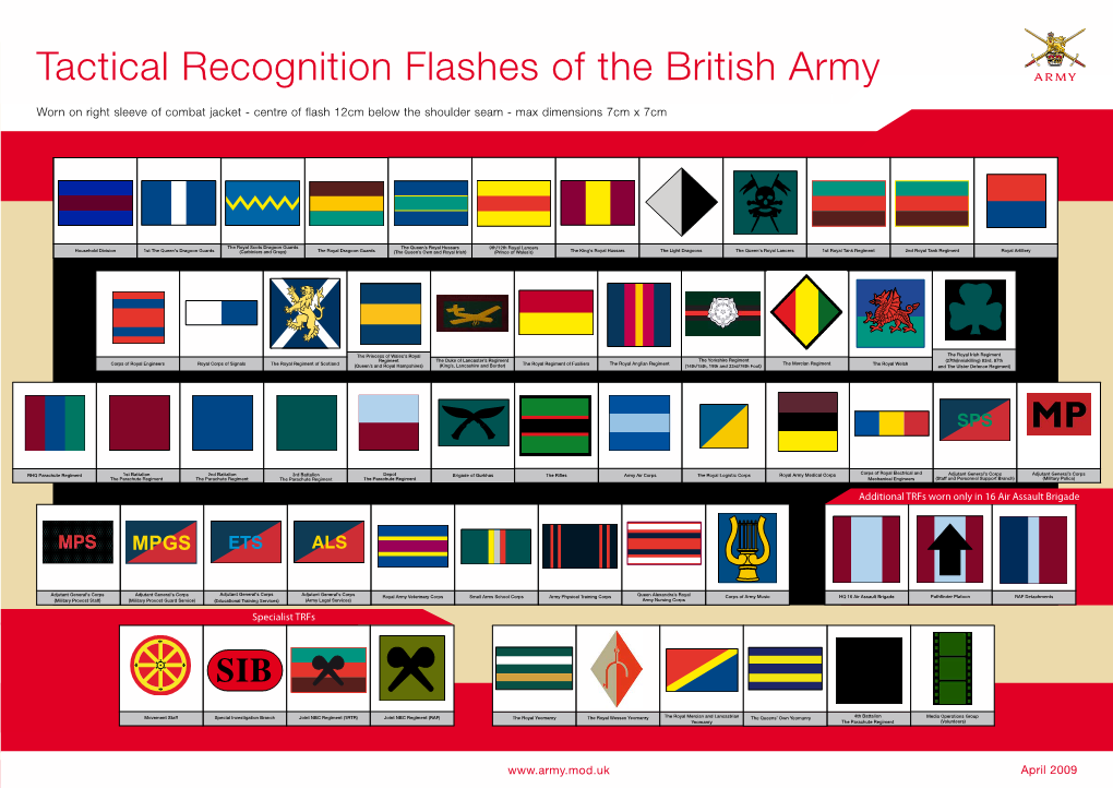 Tactical Recognition Flashes of the British Army