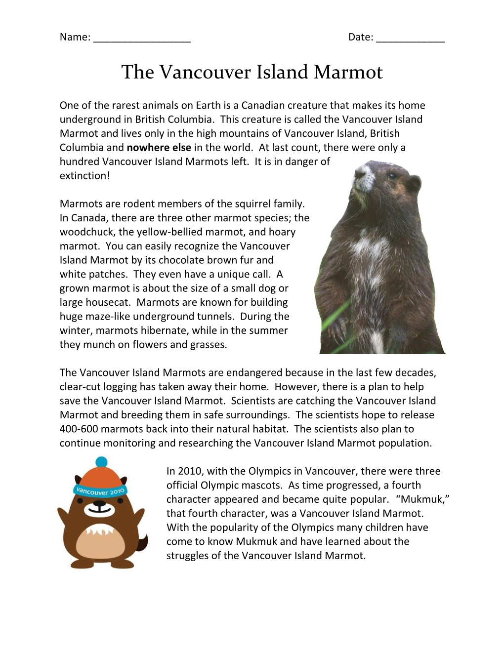 The Vancouver Island Marmot