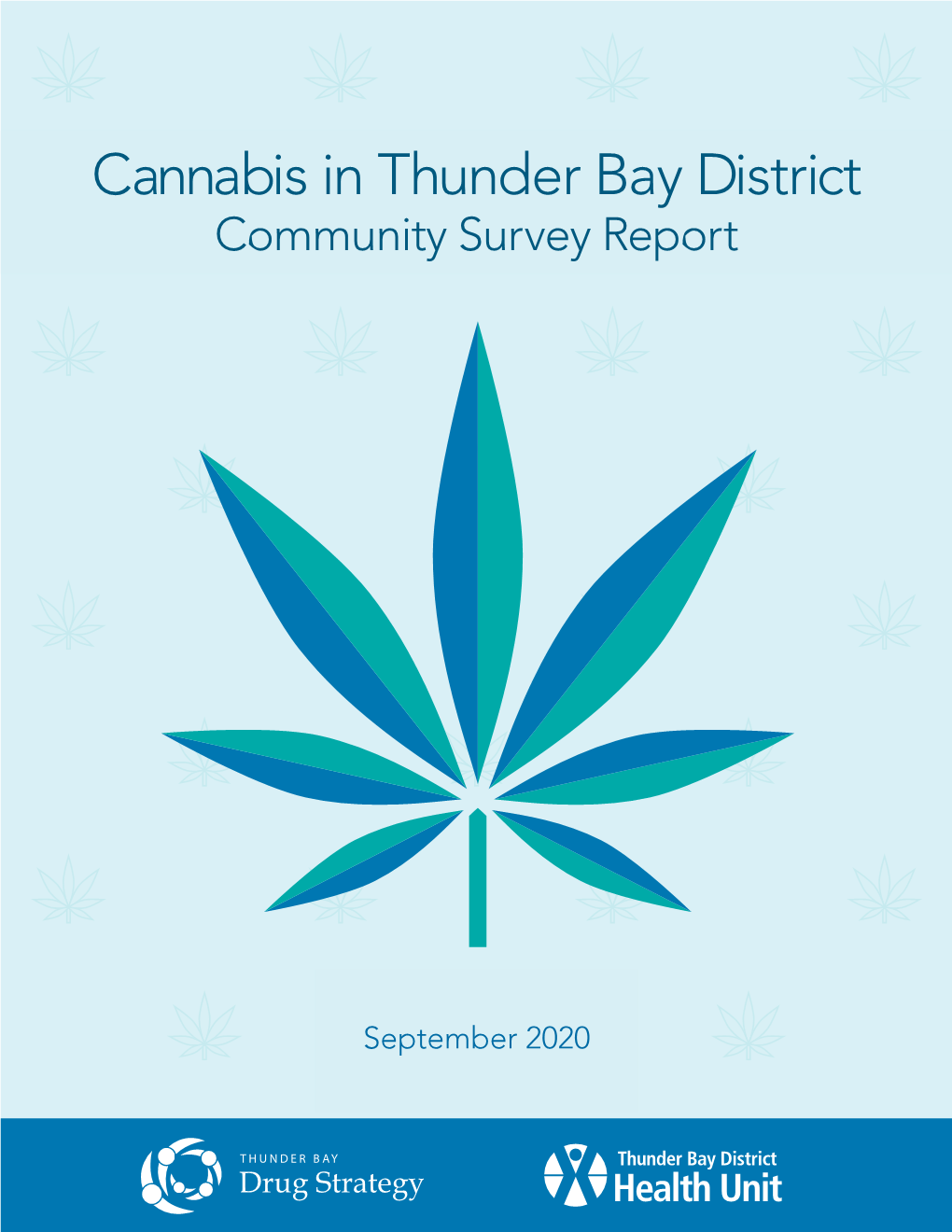 Cannabis in Thunder Bay District Community Survey Report