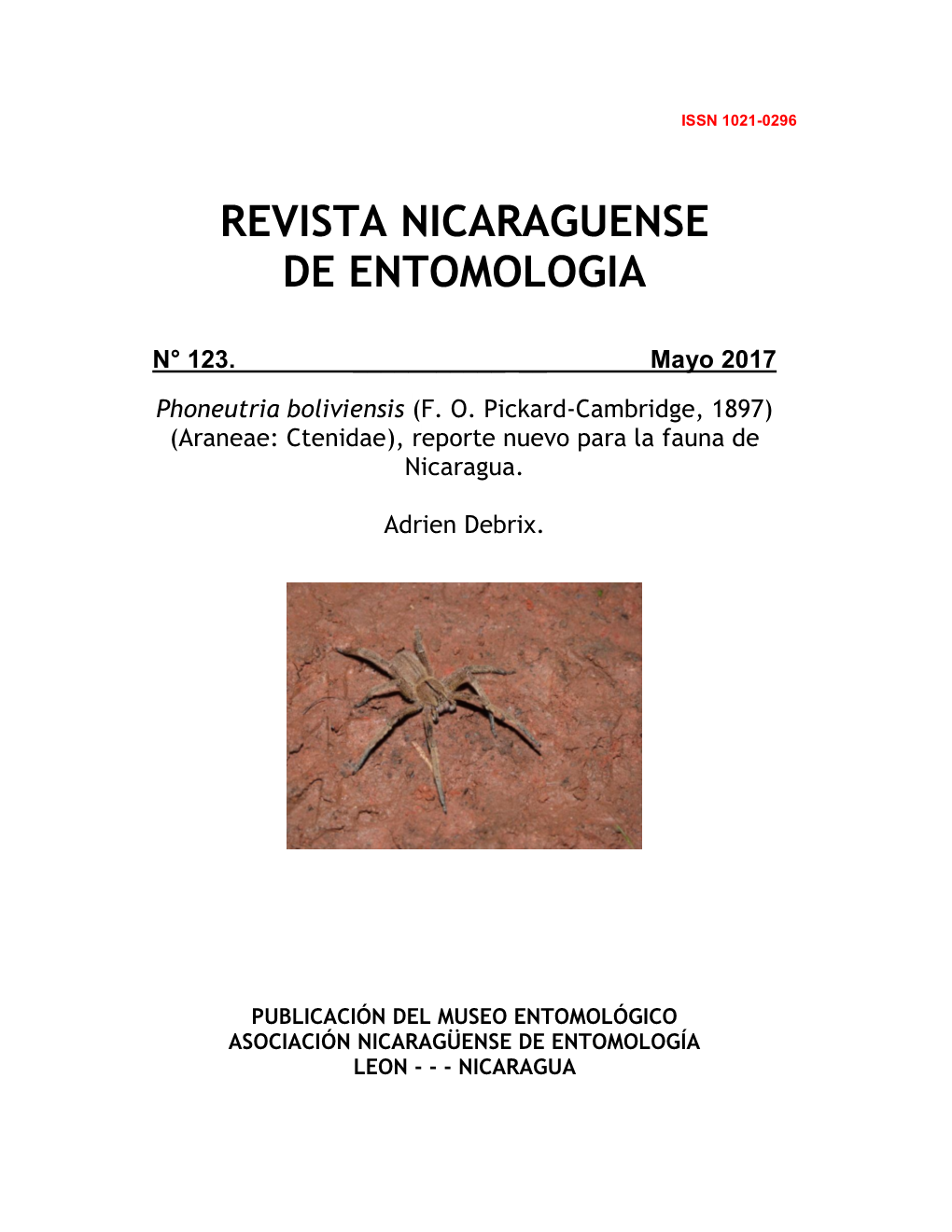 Phoneutria Boliviensis (F