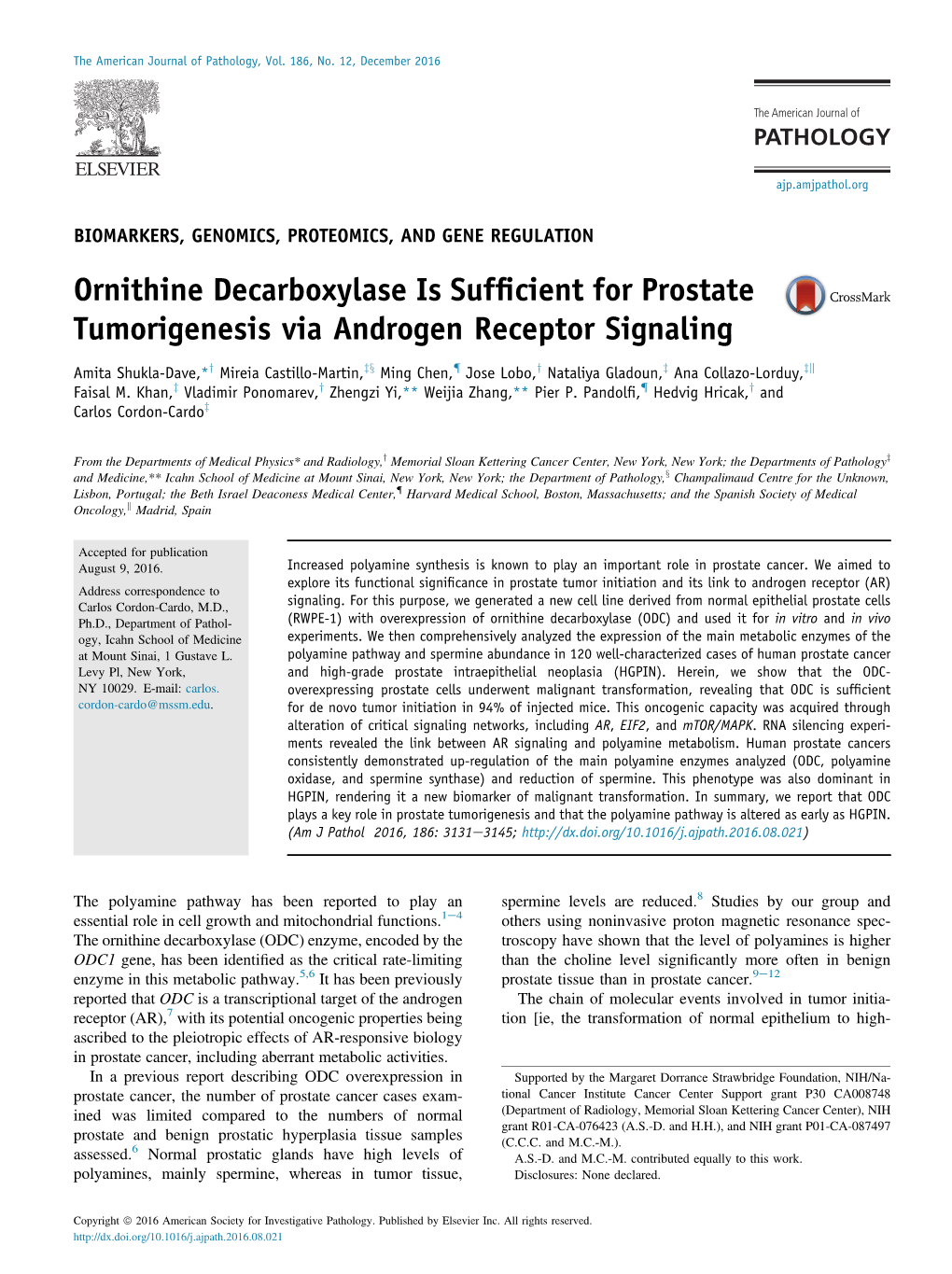 Ornithine Decarboxylase Is Sufficient for Prostate Tumorigenesis Via Androgen Receptor Signaling