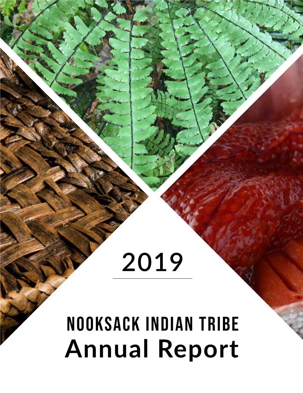 Nooksack Indian Tribe Annual Report Nooksack Indian Tribe