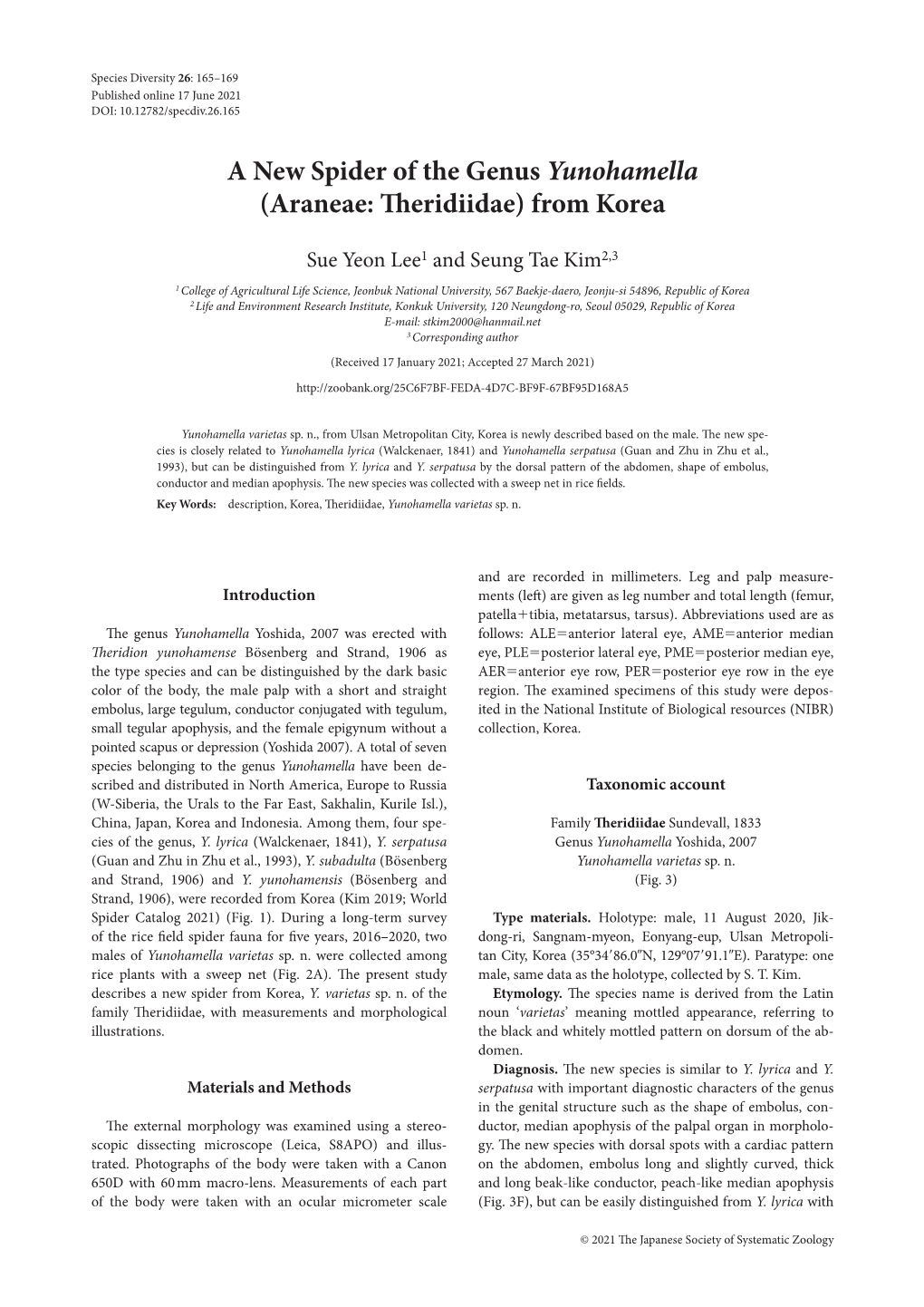 A New Spider of the Genus Yunohamella (Araneae: Theridiidae) from Korea