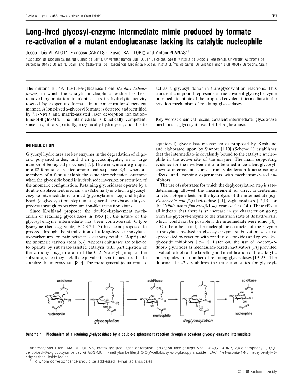 Long-Lived Glycosyl-Enzyme Intermediate Mimic Produced by Formate Re-Activation of a Mutant Endoglucanase Lacking Its Catalytic