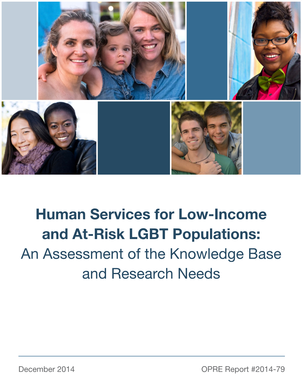 Human Services for Low-Income and At-Risk LGBT Populations: an Assessment of the Knowledge Base and Research Needs