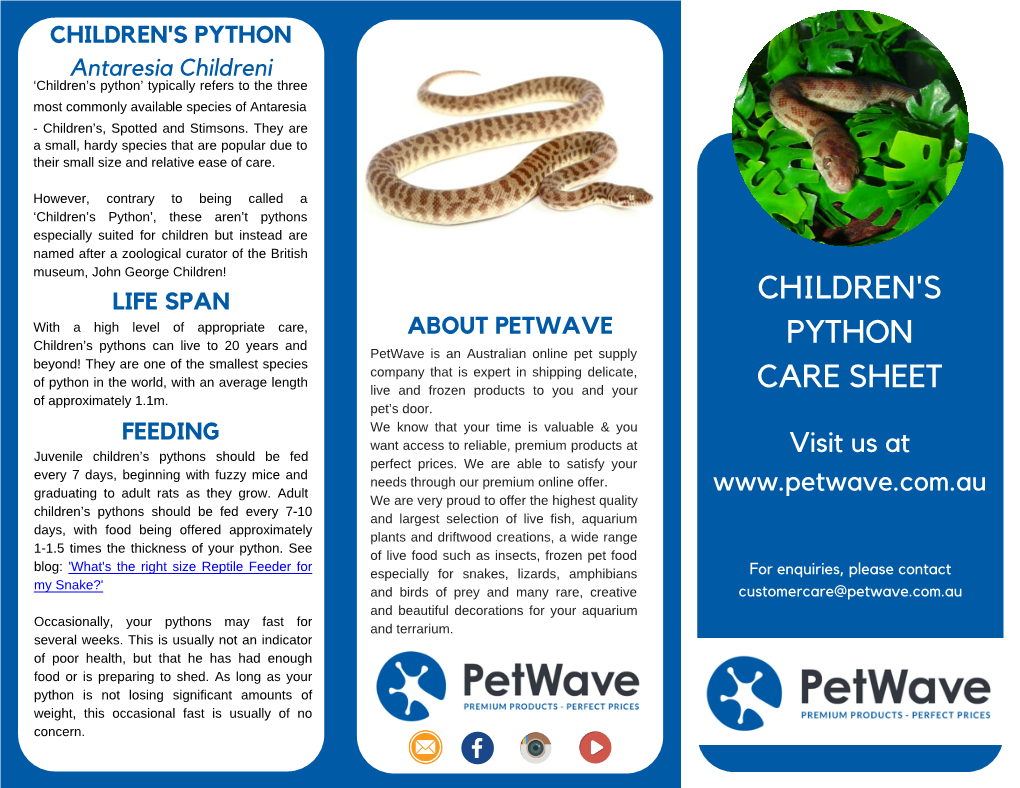 Children's Python | Petwave Care Sheet