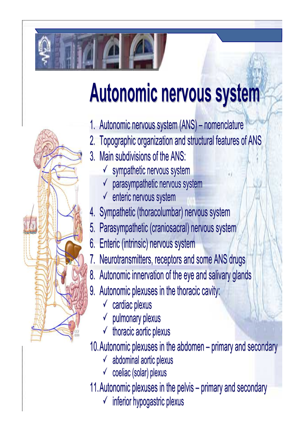 Autonomic Nervous System ENG