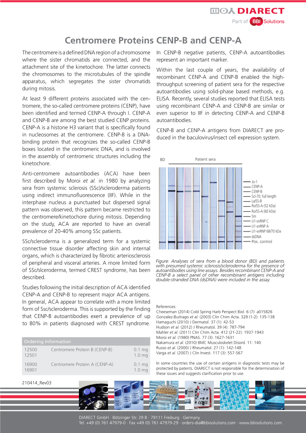 Centromere Proteins CENP-B and CENP-A