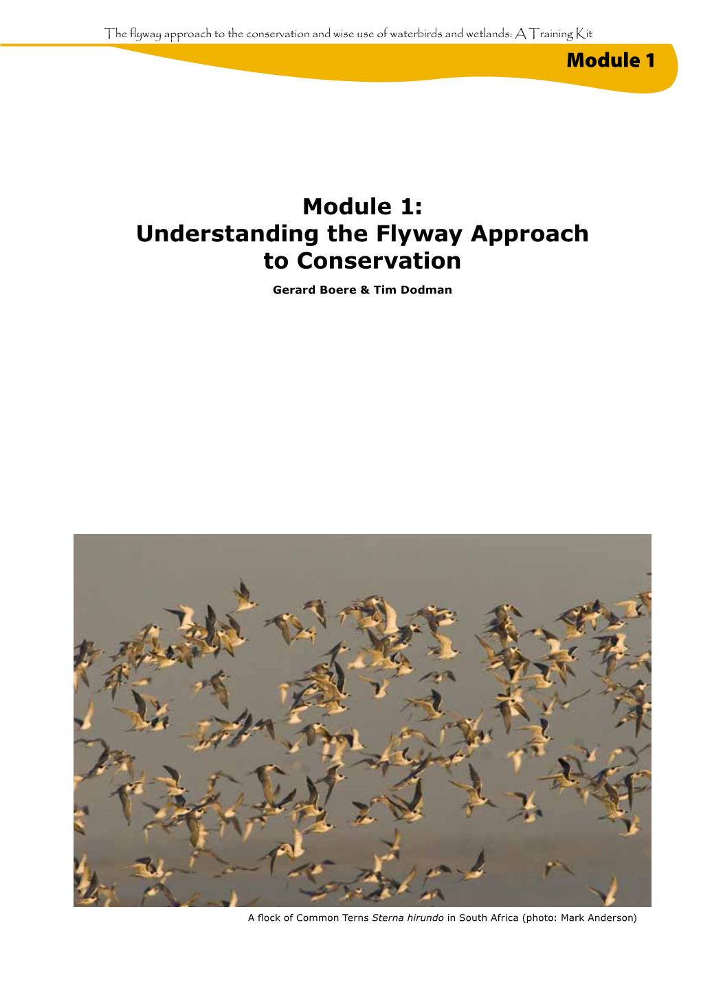 Module 1: Understanding the Flyway Approach to Conservation