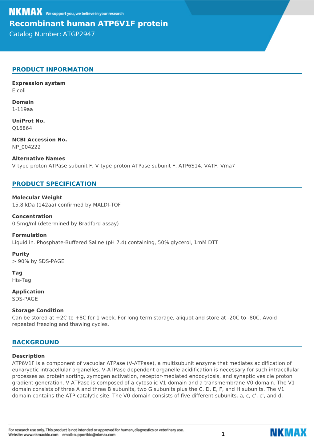 Recombinant Human ATP6V1F Protein Catalog Number: ATGP2947