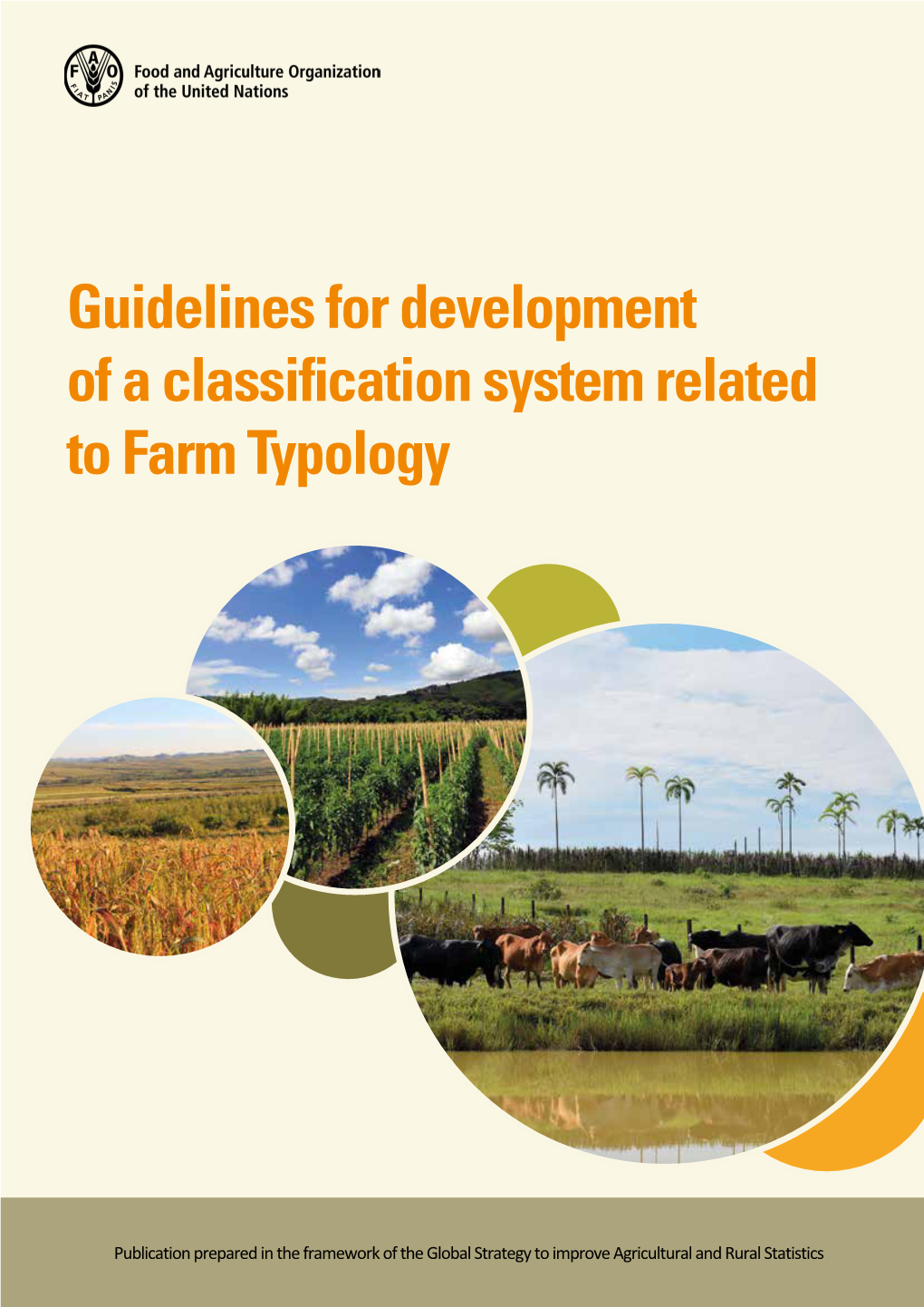 Guidelines for Development of a Classification System Related to Farm Typology