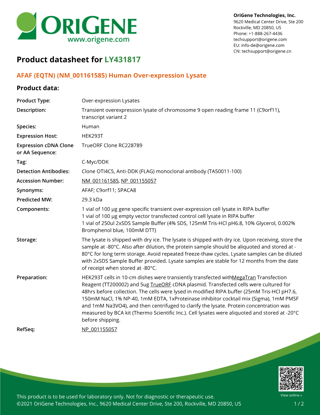 AFAF (EQTN) (NM 001161585) Human Over-Expression Lysate Product Data