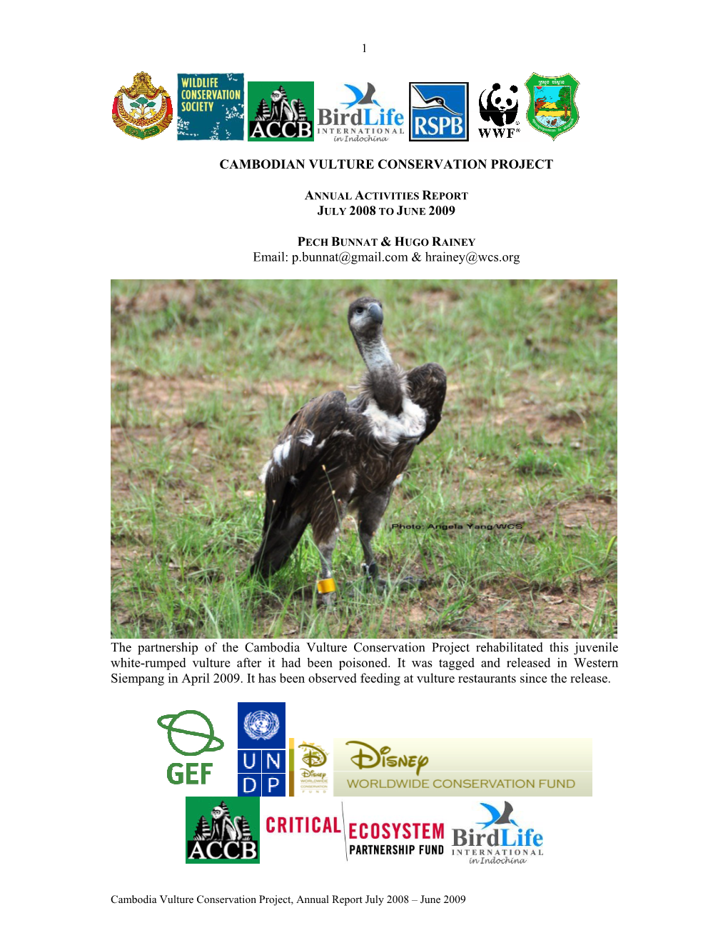 Cambodian Vulture Conservation Project, Annual Activities Report