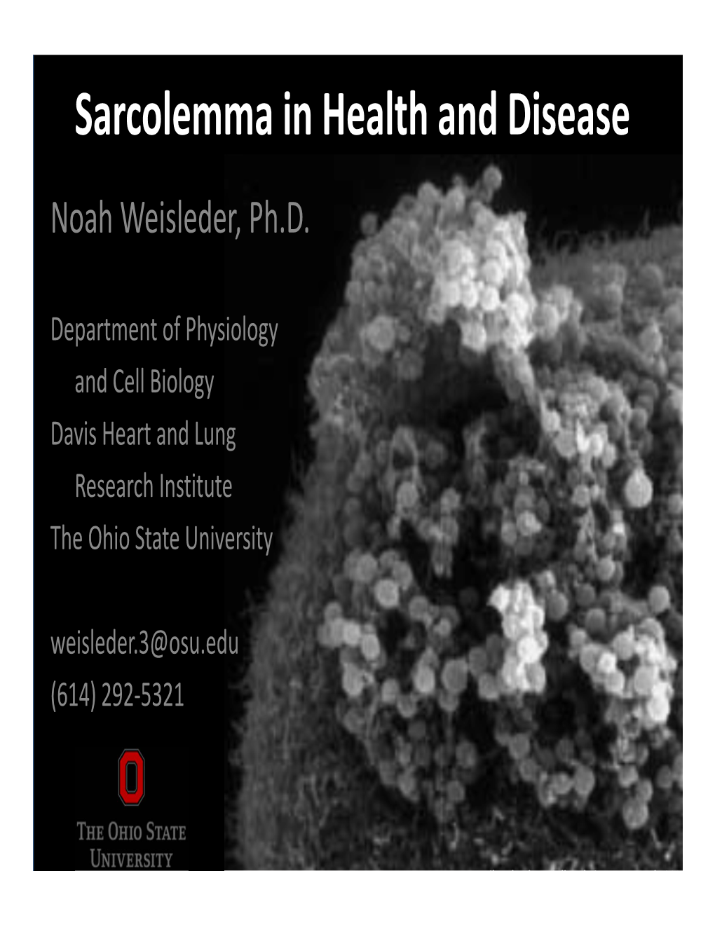 Sarcolemma in Health and Disease Noah Weisleder, Ph.D