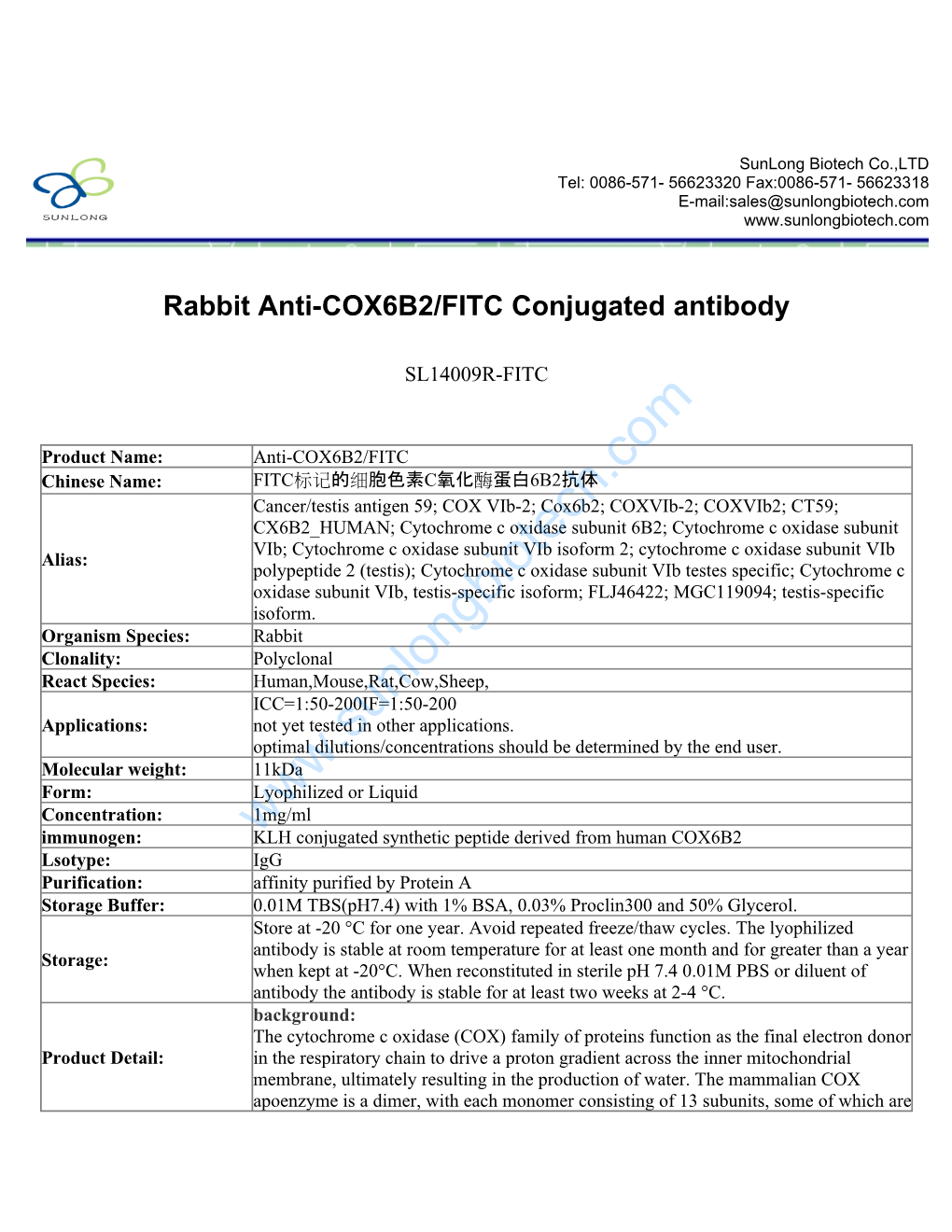 Rabbit Anti-COX6B2/FITC Conjugated Antibody