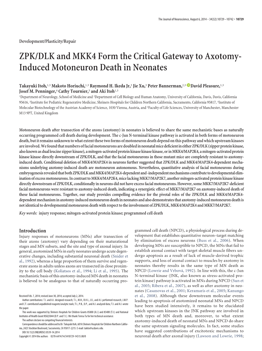 ZPK/DLK and MKK4 Form the Critical Gateway to Axotomy- Induced Motoneuron Death in Neonates