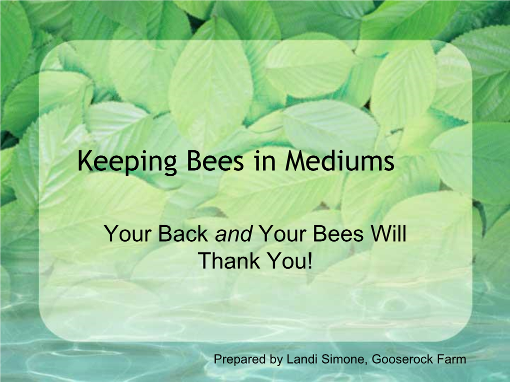 Keeping Bees in Mediums