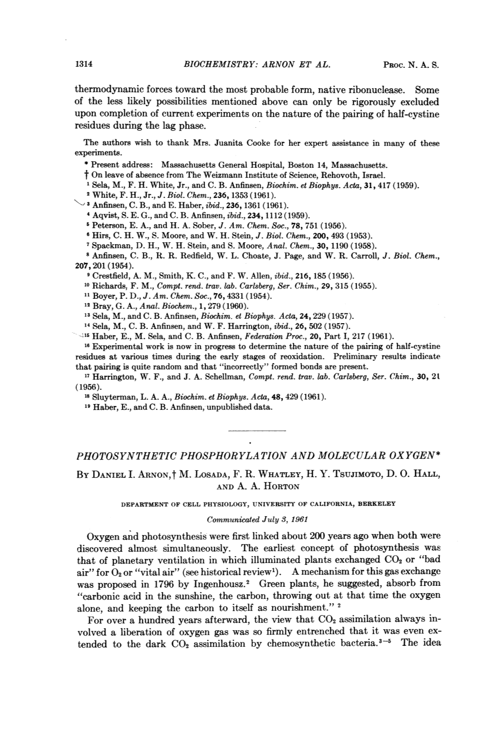 Thermodynamic Forces Toward the Most Probable Form, Native Ribonuclease. Some of the Less Likely Possibilities Mentioned Above C