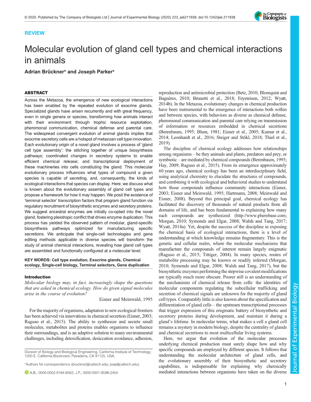 Molecular Evolution of Gland Cell Types and Chemical Interactions in Animals Adrian Brückner* and Joseph Parker*