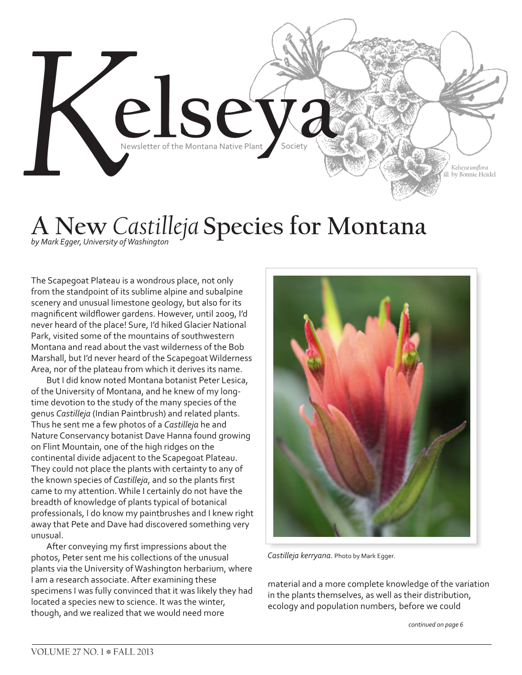 A New Castilleja Species for Montana by Mark Egger, University of Washington