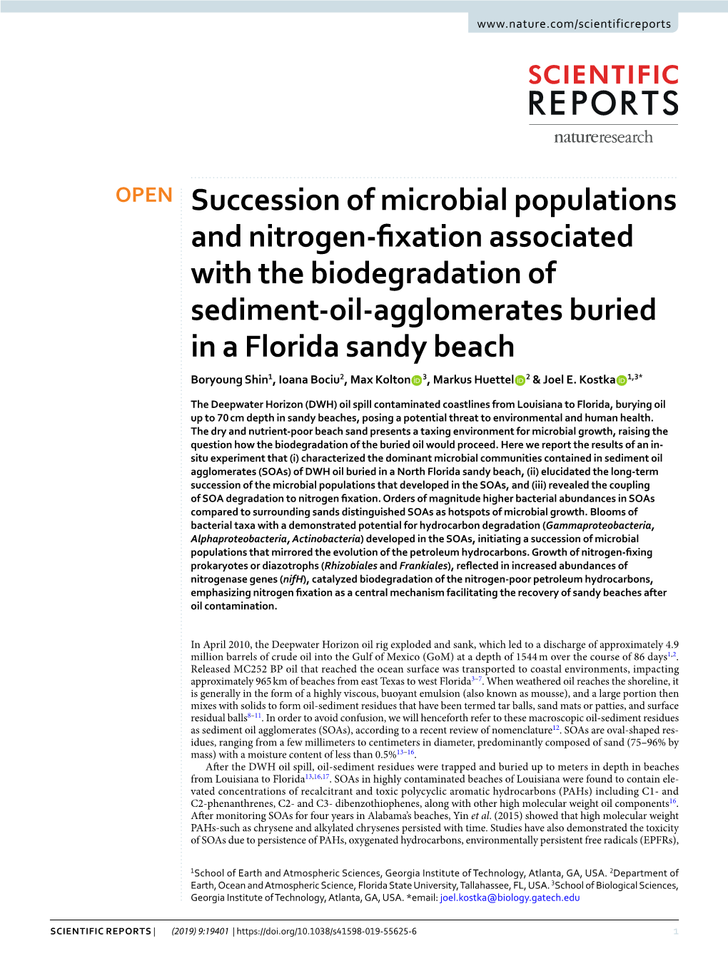 Succession of Microbial Populations and Nitrogen-Fixation Associated with the Biodegradation of Sediment-Oil-Agglomerates Buried