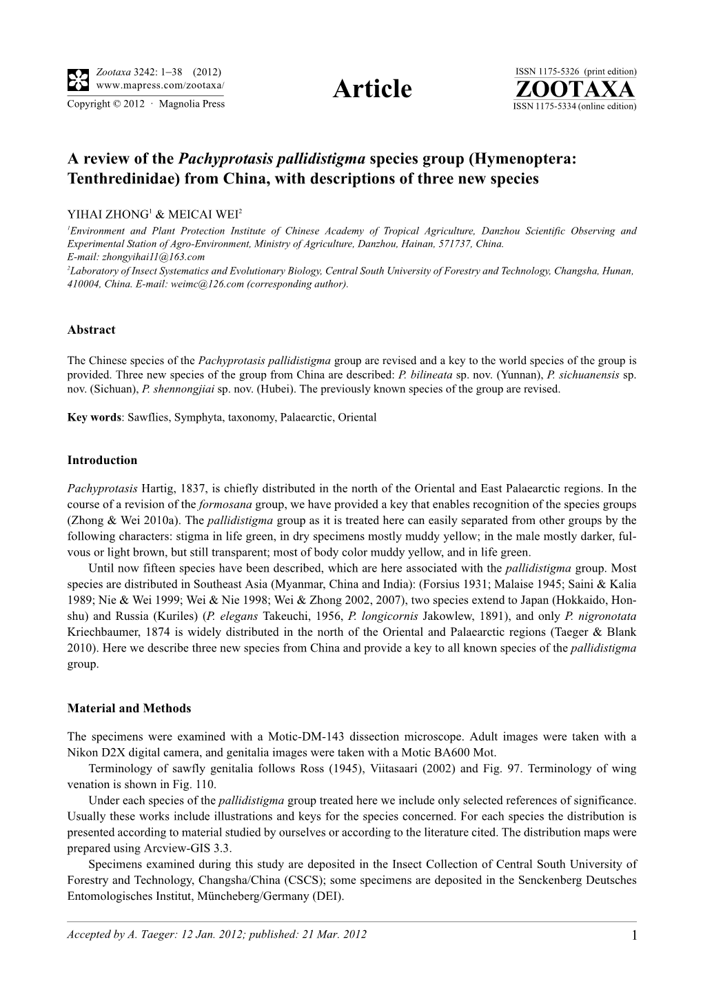 A Review of the Pachyprotasis Pallidistigma Species Group (Hymenoptera: Tenthredinidae) from China, with Descriptions of Three New Species