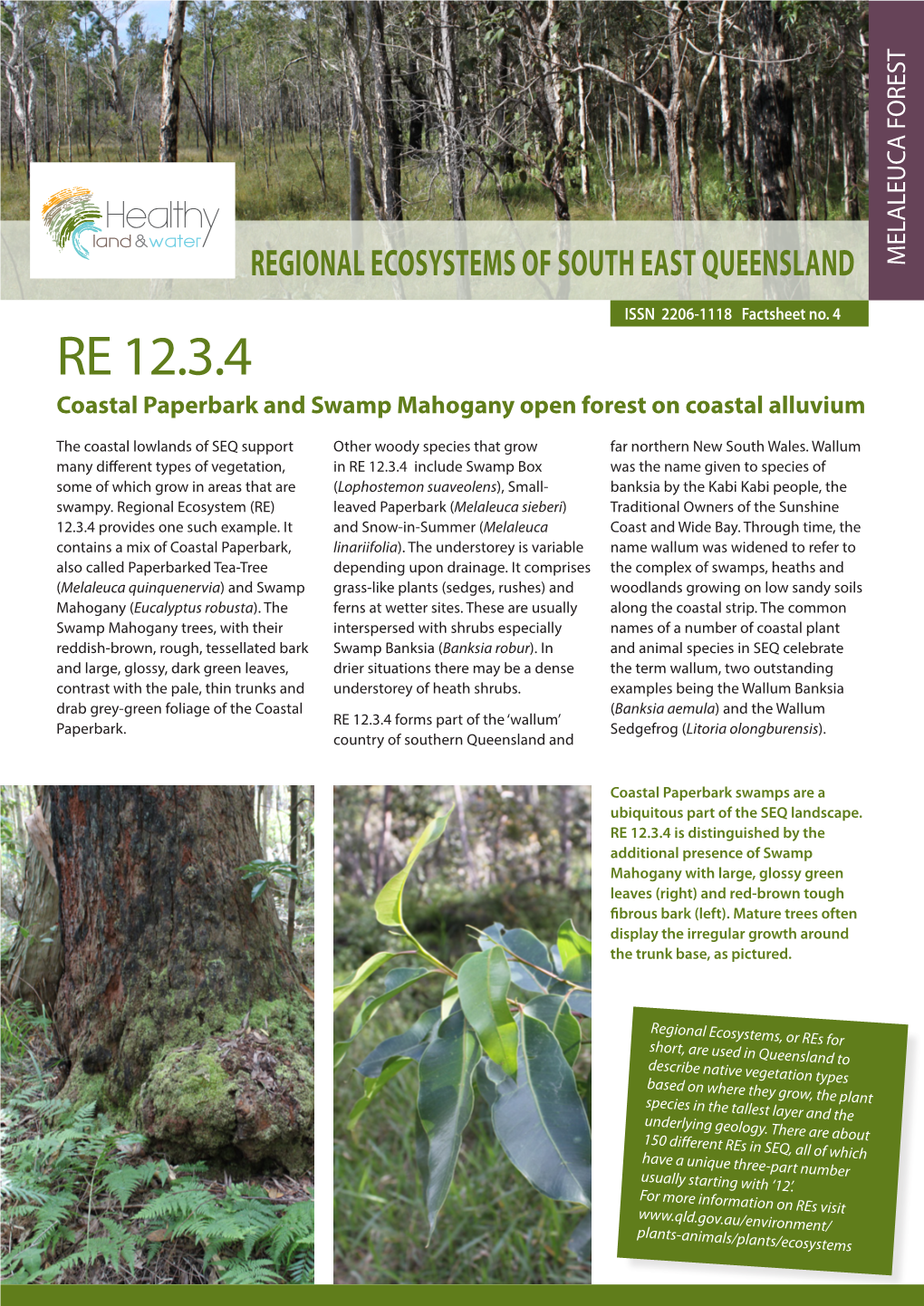 RE 12.3.4 Coastal Paperbark and Swamp Mahogany Open Forest on Coastal Alluvium
