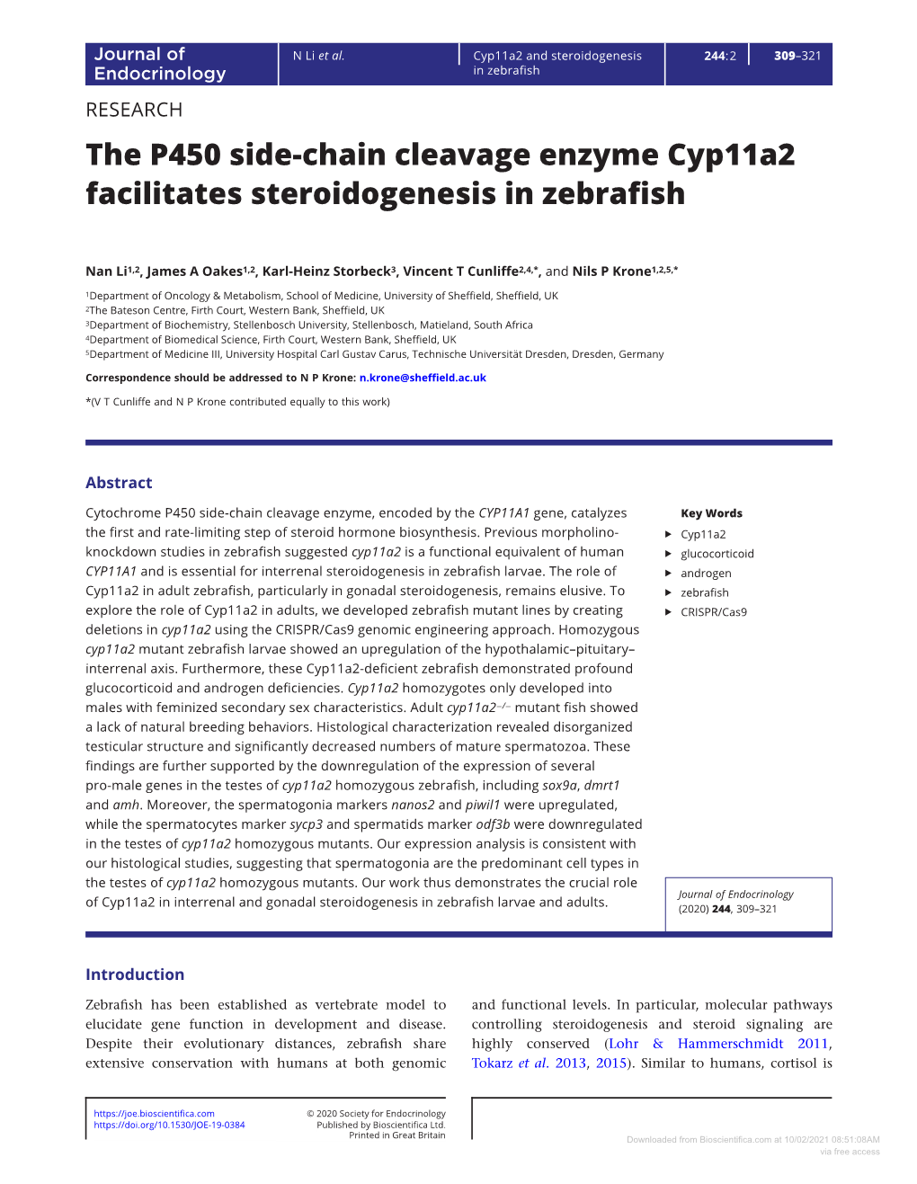 The P450 Side-Chain Cleavage Enzyme Cyp11a2 Facilitates Steroidogenesis in Zebrafish