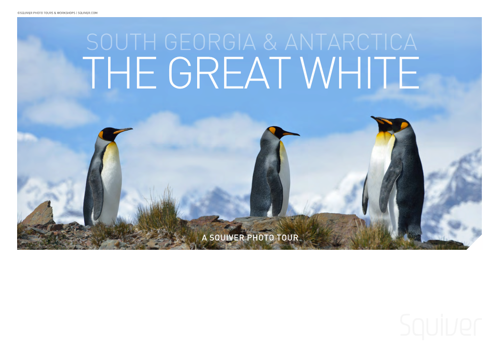 South Georgia & Antarctica the Great White