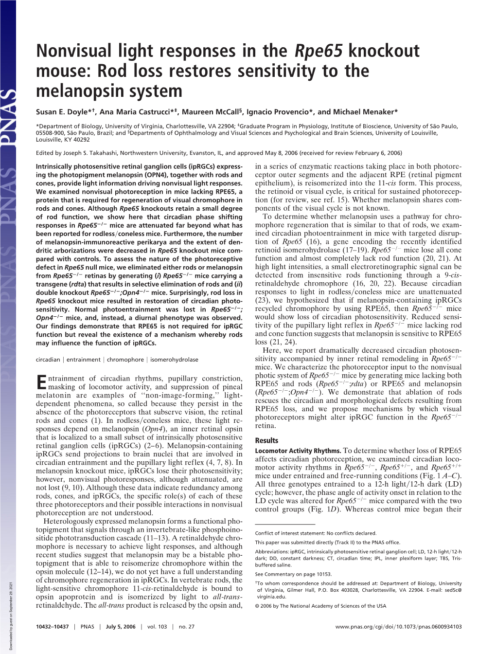 Rod Loss Restores Sensitivity to the Melanopsin System