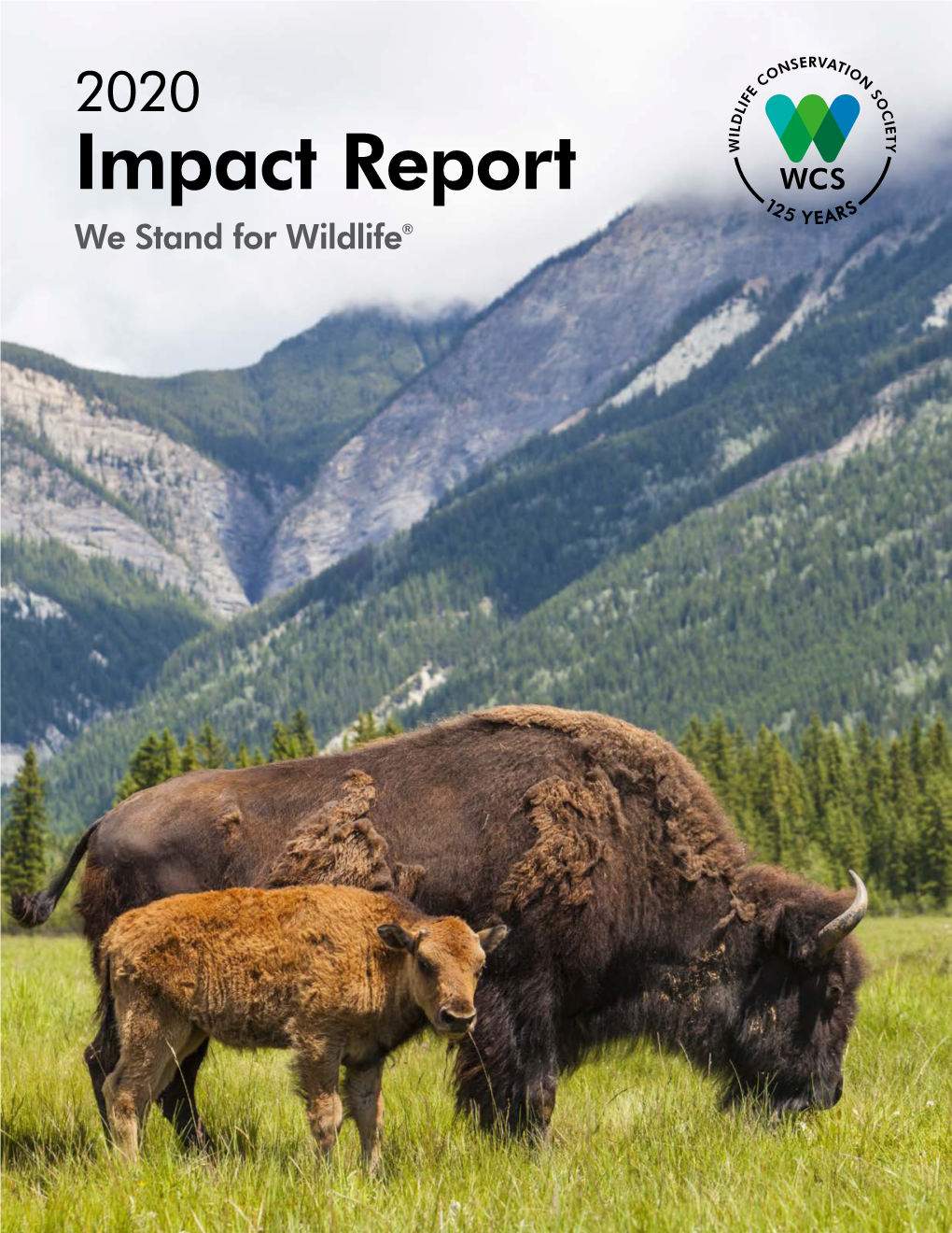 Impact Report We Stand for Wildlife® SAVING WILDLIFE MISSION