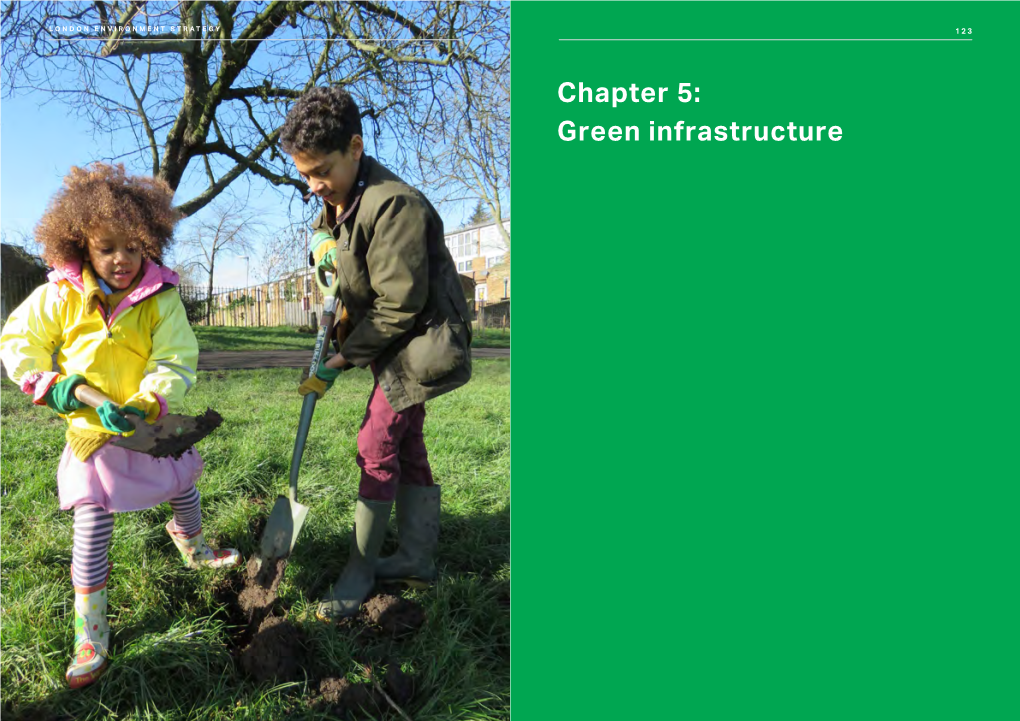 Chapter 5: Green Infrastructure LONDON ENVIRONMENT STRATEGY 125