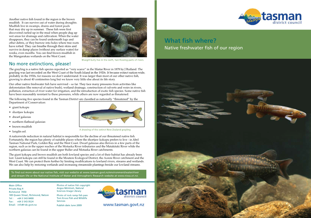 TDC What Fish Where Brochure