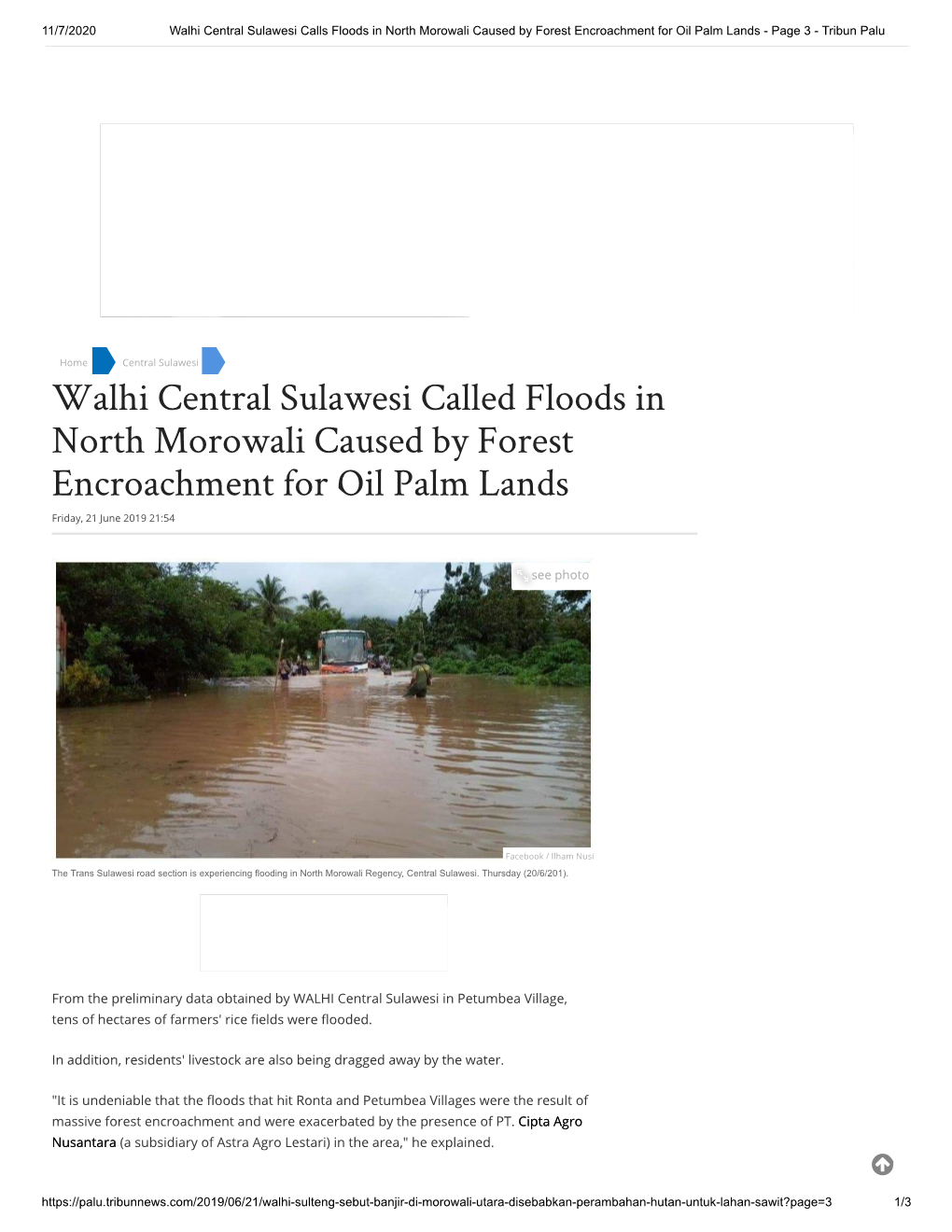 Walhi Central Sulawesi Called Floods in North Morowali Caused by Forest Encroachment for Oil Palm Lands Friday, 21 June 2019 21:54