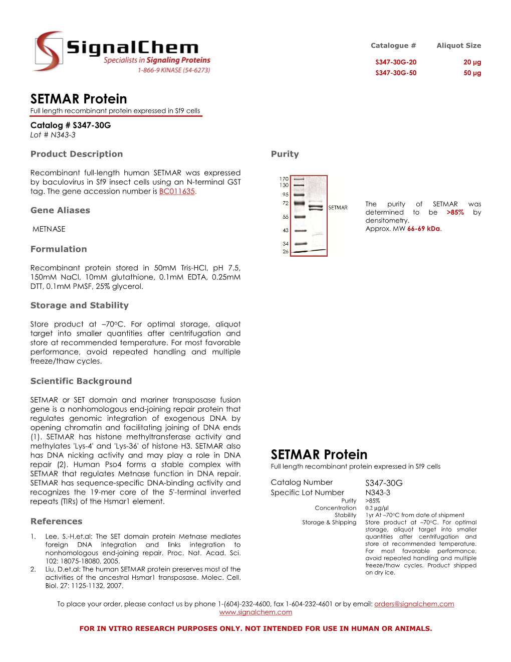 SETMAR Protein SETMAR Protein