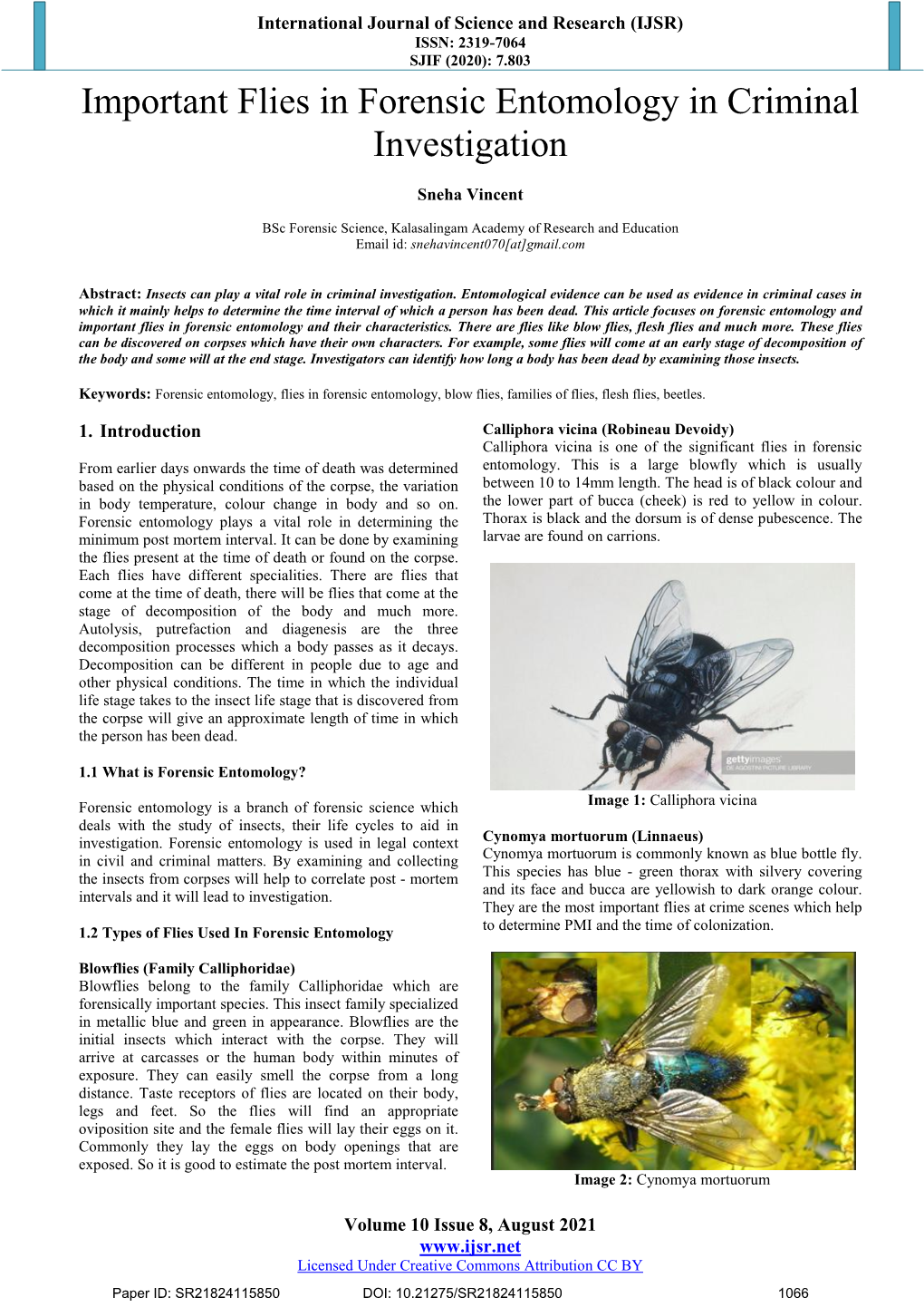 Important Flies in Forensic Entomology in Criminal Investigation