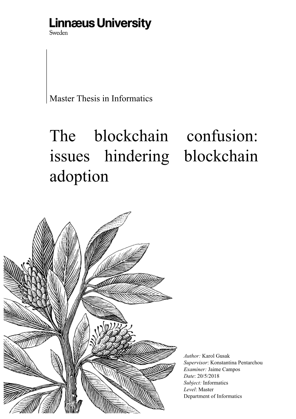 The Blockchain Confusion: Issues Hindering Blockchain Adoption