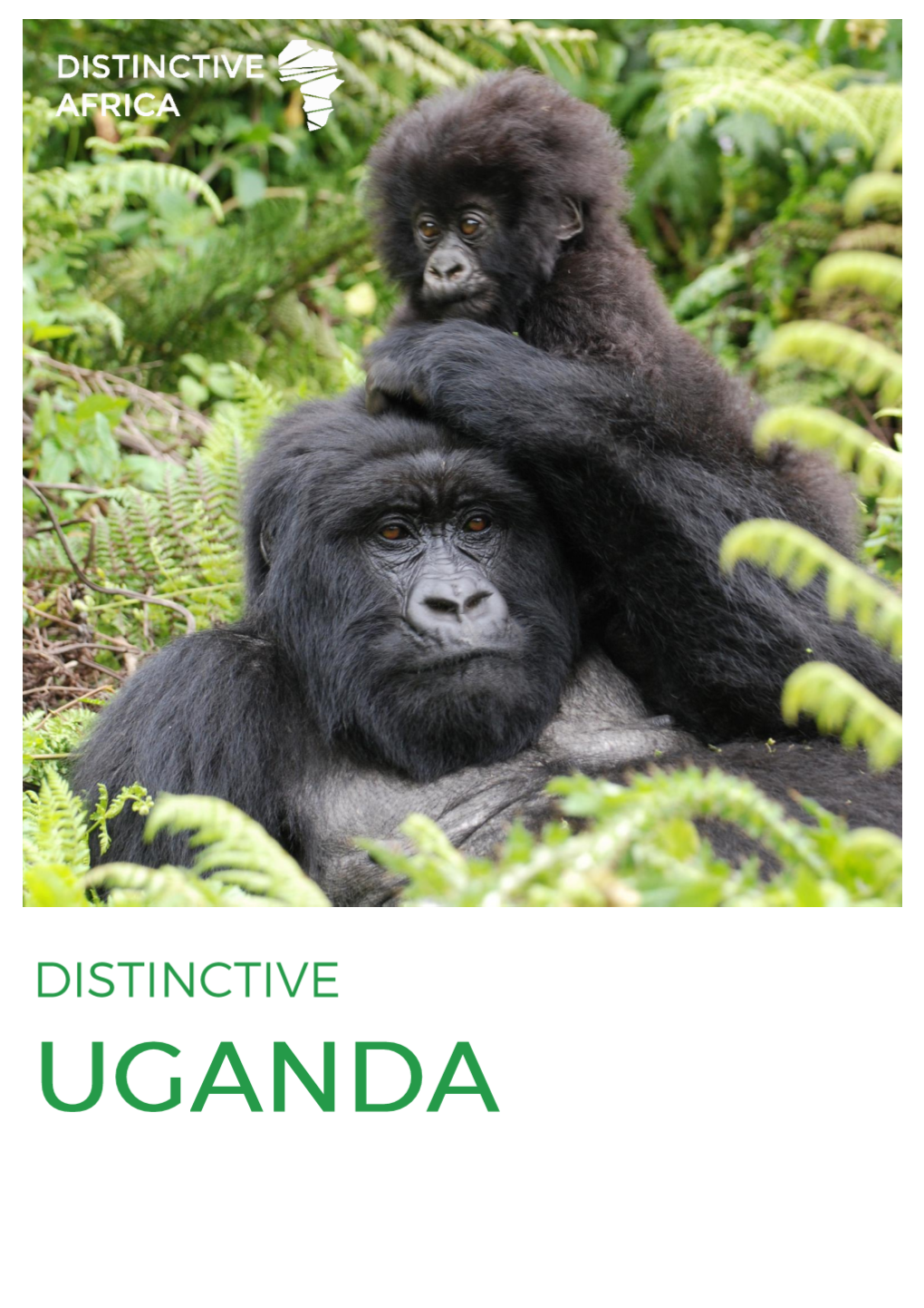 Distinctive Uganda